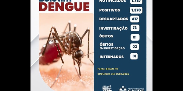 Boletim da Saúde registra mais 23,3 mil casos confirmados de dengue