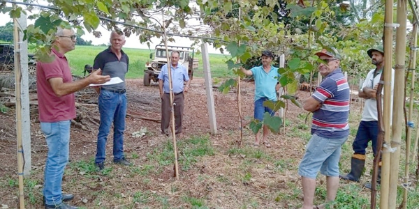 Viticultores participam de Dia de Campo